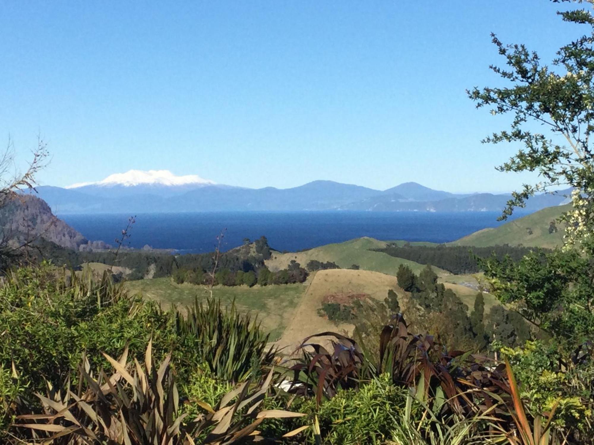 Whakaipo Bay Cabin Retreat Taupo Dış mekan fotoğraf